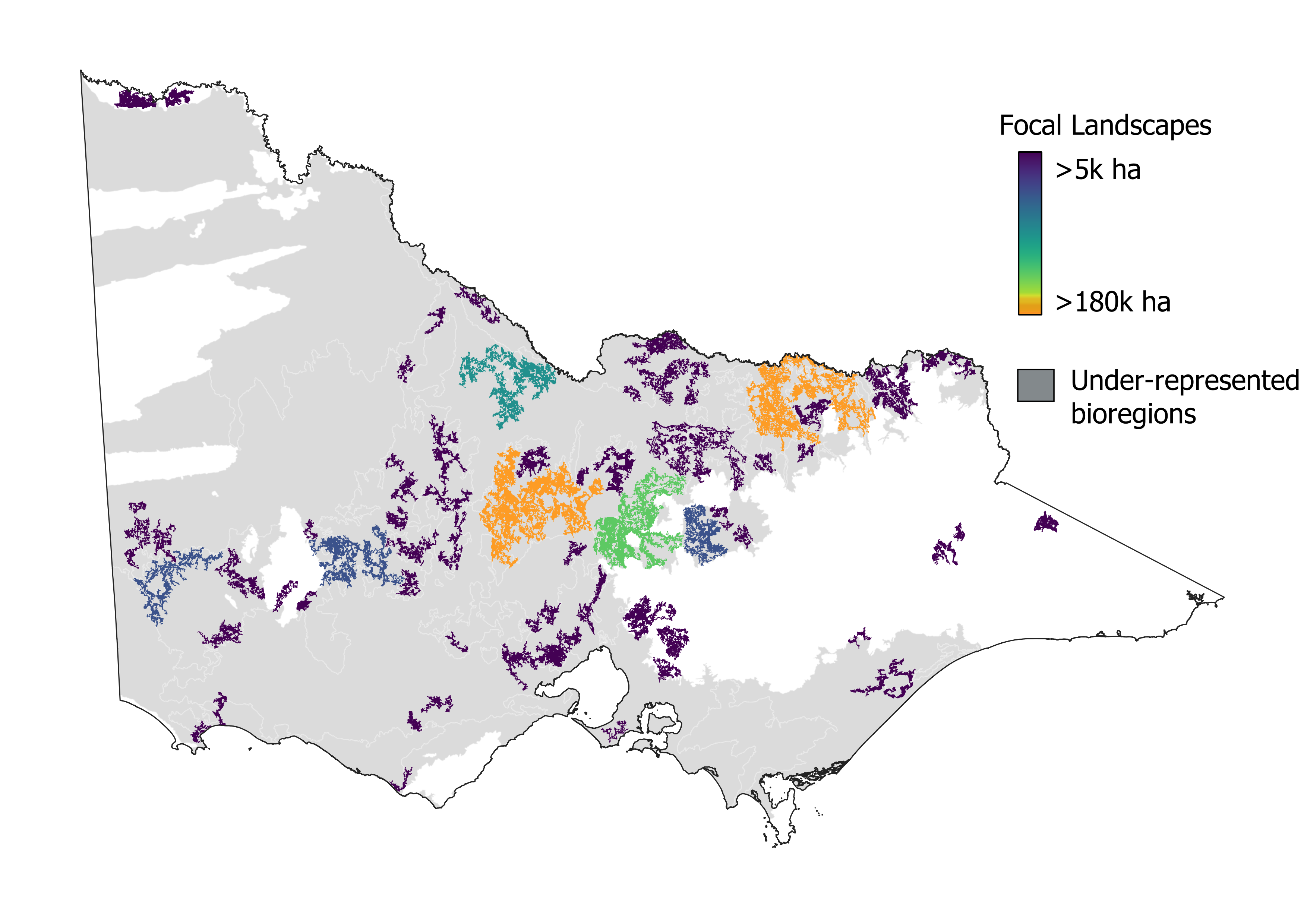 Focal landscapes